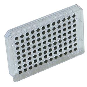 TAITEC泰特克   BOD测量机    OP96C