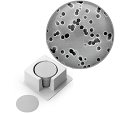 T-Dilex迪莱克   滤波器   PETE