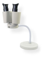 KIKUCHI菊池   显微镜  S300II